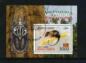 Timor (East) 2001 Marsupials (Beetle in margin) perf m/sheet cto used, stamps on , stamps on  stamps on animals, stamps on  stamps on marsupials, stamps on  stamps on mammals, stamps on  stamps on insects, stamps on  stamps on beetles