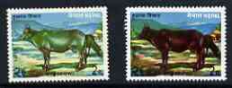Nepal 1973 Cow 2p with superb dry print of brown (appears as a missing colour) plus normal unmounted mint (slight signs of foxing) as SG 292, stamps on , stamps on  stamps on animals, stamps on  stamps on cattle, stamps on  stamps on cows