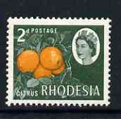 Rhodesia 1966-69 Oranges 2d (litho printing) unmounted mint, SG 398, stamps on fruit, stamps on oranges