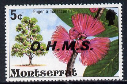 Montserrat 1976 Malay Apple Tree OHMS 5c unmounted mint (only recorded cto used) SG O7, stamps on flowers  trees   fruit