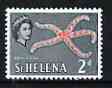 St Helena 1961 Brittle Starfish 2d from def set (with lace background) unmounted mint, SG 178, stamps on lace, stamps on marine life