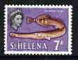 St Helena 1961 Trumpetfish 7d from def set (with lace background) unmounted mint, SG 182, stamps on lace, stamps on fish