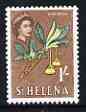 St Helena 1961 Gum Wood Flower 1s from def set (with lace background) unmounted mint, SG 184, stamps on lace, stamps on flowers