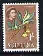 St Helena 1961 Gum Wood Flower 1s from def set (with lace background) unmounted mint, SG 184, stamps on lace, stamps on flowers