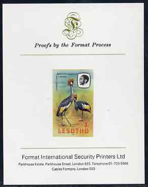 Lesotho 1981 Crowned Crane 3s imperf proof mounted on Format International proof card (as SG 439), stamps on , stamps on  stamps on lesotho, stamps on  stamps on birds, stamps on  stamps on cranes, stamps on  stamps on 