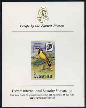 Lesotho 1981 Shrike 5s imperf proof mounted on Format International proof card (as SG 440), stamps on , stamps on  stamps on lesotho, stamps on  stamps on birds, stamps on  stamps on shrike, stamps on  stamps on 