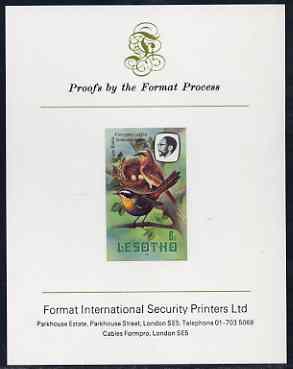 Lesotho 1981 Cape Robin Chat 6s imperf proof mounted on Format International proof card (as SG 441)