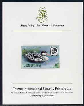 Lesotho 1981 Red Billed Teal 10s imperf proof mounted on Format International proof card (as SG 443), stamps on , stamps on  stamps on lesotho, stamps on  stamps on birds, stamps on  stamps on teal, stamps on  stamps on ducks, stamps on  stamps on 