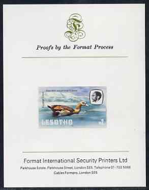 Lesotho 1981 Egyptian Goose M2 imperf proof mounted on Format International proof card (as SG 449), stamps on lesotho, stamps on birds, stamps on goose