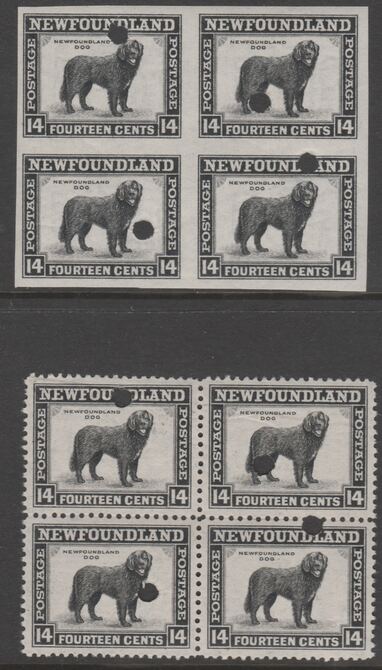 Newfoundland 1941-44 KG6 Newfoundland Dog 14c in perf & imperf matched proof blocks of 4 from archives with checkers mark highlighting a variety for retouching, each stam..., stamps on animals, stamps on , stamps on  kg6 , stamps on , stamps on dogs, stamps on newfoundland