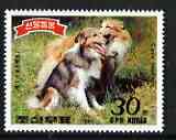 North Korea 1989 Rough Collie 30ch from set of 5 dogs unmounted mint, SG N2848, stamps on dogs, stamps on rough collie