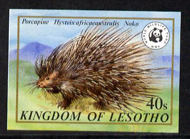 Lesotho 1981 WWF - Cape Porcupine 40s value imperf single unmounted mint as SG 471, stamps on animals, stamps on  wwf , stamps on 