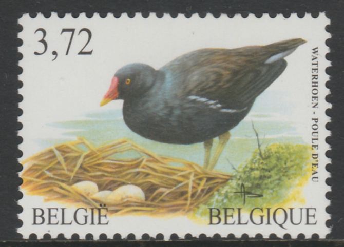 Belgium 2002-09 Birds #5 Moorhen 3.72 Euro unmounted mint SG 3707, stamps on birds, stamps on coot