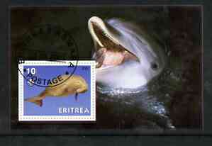 Eritrea 2001 Manatee & Dolphin imperf souvenir sheet (with Scout Logo) fine cto used, stamps on , stamps on  stamps on animals, stamps on  stamps on scouts, stamps on  stamps on mammals, stamps on  stamps on dolphins, stamps on  stamps on marine life