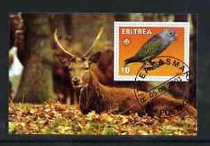 Eritrea 2001 Parrot & Deer imperf souvenir sheet (with Scout Logo) fine cto used, stamps on , stamps on  stamps on animals, stamps on  stamps on scouts, stamps on  stamps on birds, stamps on  stamps on parrots, stamps on  stamps on deer