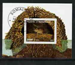 Somaliland 2001 Shrew imperf souvenir sheet cto used, stamps on animals, stamps on shrews