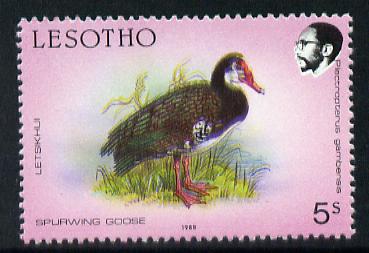 Lesotho 1988 Birds 5s Spurwing Goose minor colour shift of black & yellow resulting in double beak and general blur unmounted mint (as SG 793)*, stamps on birds    goose