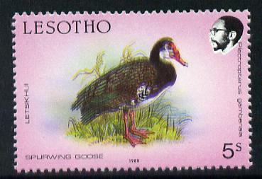 Lesotho 1988 Birds 5s Spurwing Goose minor colour shift of black & yellow resulting in double beak and general blur unmounted mint (as SG 793)*, stamps on , stamps on  stamps on birds    goose