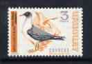 Uruguay 1968-70 Brown-Hooded Gull 3p unmounted mint, SG 1365, stamps on birds, stamps on gulls