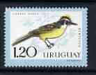 Uruguay 1962 Great Kiskadee 1p20 unmounted mint, SG 1213, stamps on birds, stamps on 