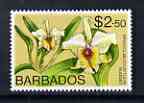 Barbados 1975-79 Nugget Orchid $2.50 unmounted mint SG 522, stamps on , stamps on  stamps on flowers, stamps on  stamps on orchids