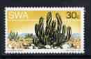 South West Africa 1973 Succulent - Euphorbia virosa 30c P13.5 x 14 unmounted mint, SG 254a, stamps on flowers, stamps on cacti
