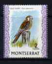 Montserrat 1970-74 American Kestral 2c on glazed paper unmounted mint, SG 243a, stamps on , stamps on  stamps on birds, stamps on  stamps on birds of prey, stamps on  stamps on kestrals