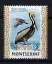 Montserrat 1970-74 Brown Pelican 5c on glazed paper unmounted mint, SG 246b, stamps on , stamps on  stamps on birds, stamps on  stamps on pelicans