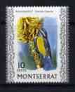 Montserrat 1970-74 Bananaquit 10c on glazed paper unmounted mint, SG 247a, stamps on , stamps on  stamps on birds, stamps on  stamps on 