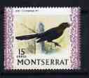 Montserrat 1970-74 Smooth-Billed Ani 15c on glazed paper unmounted mint, SG 248a, stamps on , stamps on  stamps on birds, stamps on  stamps on 