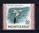 Montserrat 1970-74 Red-Billed Tropic Bird 20c on glazed paper unmounted mint, SG 249a, stamps on birds, stamps on 