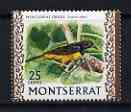 Montserrat 1970-74 Oriole 25c on glazed paper unmounted mint, SG 250a, stamps on birds, stamps on 