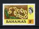 Bahamas 1971 Yellow Elder 8c (CA upright wmk def set) unmounted mint, SG 366*, stamps on , stamps on  stamps on flowers