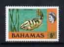 Bahamas 1971 Grouper Fish 5c (CA upright wmk def set) unmounted mint, SG 363*, stamps on fish