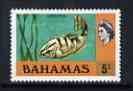 Bahamas 1972 Grouper Fish 5c (CA s/ways wmk definitive set) unmounted mint, SG 395, stamps on fish