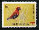 Ghana 1959 Bishop Bird 6d (def) with green omitted from flag,  Maryland perf forgery unused, as SG 220a - the word Forgery is either handstamped or printed on the back an..., stamps on maryland, stamps on forgery, stamps on forgeries, stamps on birds