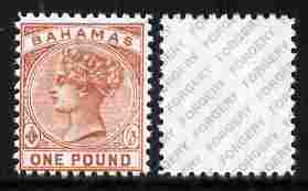 Bahamas 1884 QV �1 venetian-red,  'Maryland' perf forgery 'unused', as SG 57 - the word Forgery is either handstamped or printed on the back and comes on a presentation card with descriptive notes, stamps on maryland, stamps on forgery, stamps on forgeries, stamps on qv, stamps on  qv , stamps on 