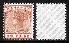 Bahamas 1884 QV £1 venetian-red,  'Maryland' perf forgery 'unused', as SG 57 - the word Forgery is either handstamped or printed on the back and comes on a presentation card with descriptive notes, stamps on maryland, stamps on forgery, stamps on forgeries, stamps on qv, stamps on  qv , stamps on 