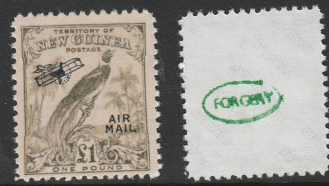 New Guinea 1932 Bird of Paradise £1 (without dates) opt'd Air Mail,  'Maryland' perf forgery 'unused', as SG 203 - the word Forgery is either handstamped or printed on the back and comes on a presentation card with descriptive notes, stamps on , stamps on  stamps on maryland, stamps on  stamps on forgery, stamps on  stamps on forgeries, stamps on  stamps on , stamps on  stamps on  kg5 , stamps on  stamps on , stamps on  stamps on birds, stamps on  stamps on birds of paradise