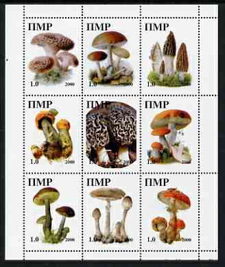 Dnister Moldavian Republic (NMP) 2000 Fungi perf sheetlet containing 9 values unmounted mint, stamps on , stamps on  stamps on fungi