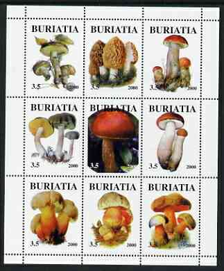Buriatia Republic 2000 Fungi perf sheetlet containing 9 values unmounted mint, stamps on , stamps on  stamps on fungi