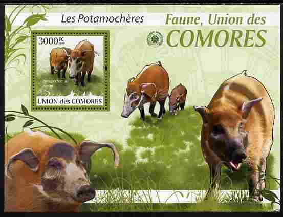 Comoro Islands 2009 Bush Pigs perf s/sheet unmounted mint Yv 207, Mi BL 527, stamps on , stamps on  stamps on animals, stamps on  stamps on pigs, stamps on  stamps on swine