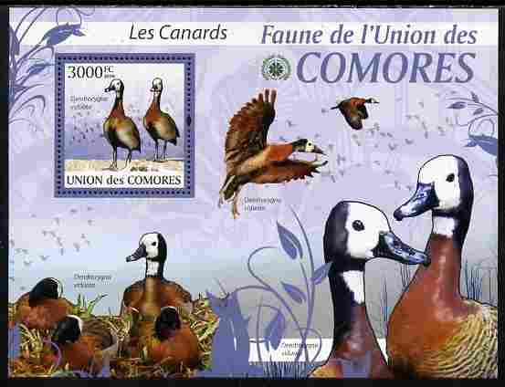 Comoro Islands 2009 Ducks perf s/sheet unmounted mint Yv 208, Mi BL 515, stamps on birds, stamps on ducks