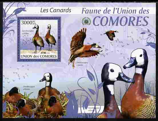 Comoro Islands 2009 Ducks perf s/sheet unmounted mint Yv 208, Mi BL 515, stamps on , stamps on  stamps on birds, stamps on  stamps on ducks