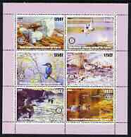 Congo 2003 Birds perf sheetlet containing 6 x 125 cf values each with Rotary Logo, unmounted mint, stamps on , stamps on  stamps on rotary, stamps on  stamps on birds, stamps on  stamps on birds of prey, stamps on  stamps on kingfisher, stamps on  stamps on ducks