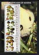 Kosova 2000 Mushrooms #1 perf sheetlet containing 3 values unmounted mint, stamps on , stamps on  stamps on fungi