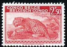 Belgian Congo 1942-43 Leopard 2f50 carmine  'Maryland' perf 'unused' forgery, as SG 263 - the word Forgery is either handstamped or printed on the back and comes on a presentation card with descriptive notes, stamps on , stamps on  stamps on forgery, stamps on  stamps on forgeries, stamps on  stamps on cats, stamps on  stamps on leopards, stamps on  stamps on maryland