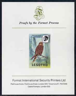 Lesotho 1982 Kestrel 1s imperf proof mounted on Format International proof card (as SG 500), stamps on , stamps on  stamps on lesotho, stamps on  stamps on birds, stamps on  stamps on birds of prey, stamps on  stamps on kestrel