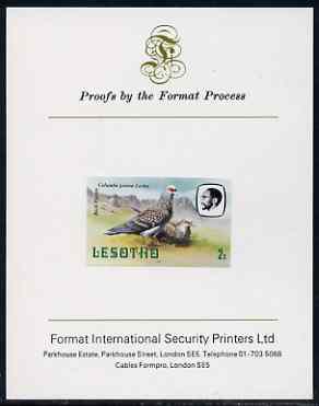 Lesotho 1982 Rock Pigeon 2s imperf proof mounted on Format International proof card (as SG 501), stamps on lesotho, stamps on birds, stamps on pigeons, stamps on 
