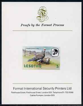 Lesotho 1982 Rock Pigeon 2s imperf proof mounted on Format International proof card (as SG 501), stamps on lesotho, stamps on birds, stamps on pigeons, stamps on 
